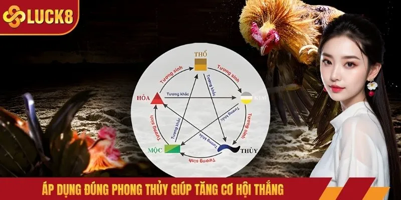 Áp dụng đúng phong thủy giúp tăng cơ hội thắng